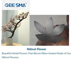 Dispozitive și componente cu nitinol